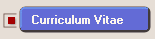 Curriculum Vitae